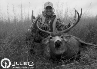 Mule Deer