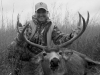 Mule Deer
