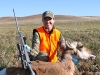 Pronghorn Doe