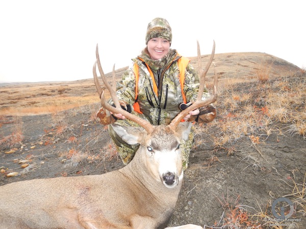 Julie's 2012 Mule Deer Buck Julie's 2012 Mule Deer Buck