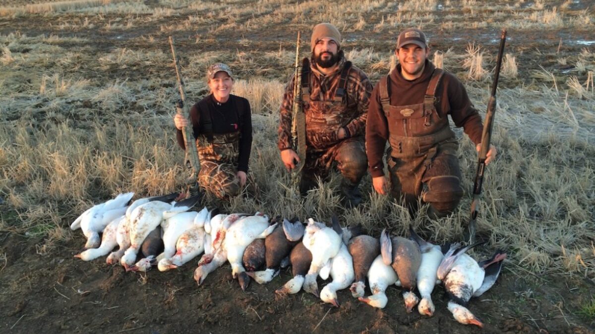 julie_golob_hunter_snow_goose_dro