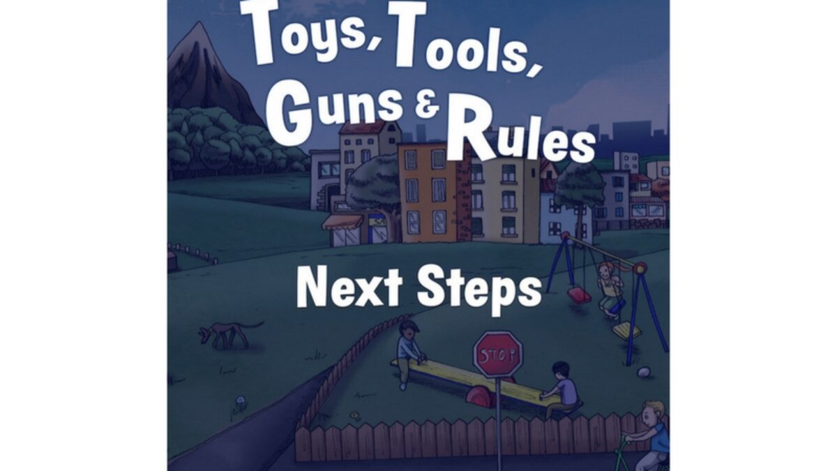 Download & Print Toys, Tools, Guns & Rules: Next Steps